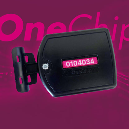 OneChip