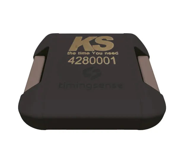 KS Personal Chip Triton